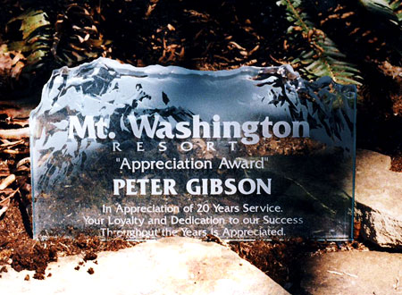 Etched glass corporate award