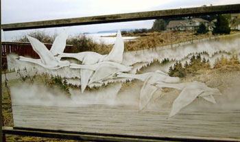 Etched glass deck railing