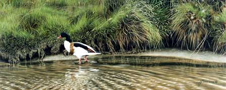 Heather Soos - Riverway Gallery, Courtenay, BC