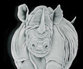 Surface Etched cabinet door