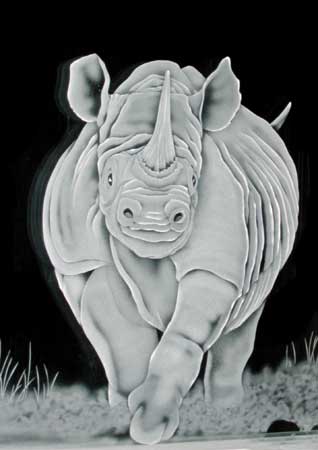 Surface etched cabinet door