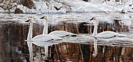 Heather Soos - Riverway Gallery, Courtenay, BC